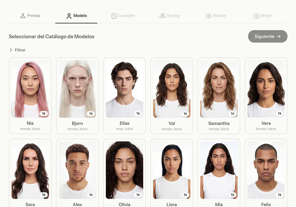 Here you choose the model